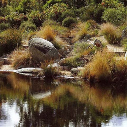 Landscaping project 1