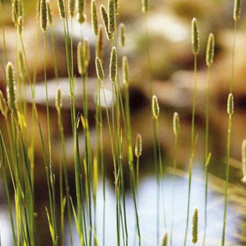 Landscaping project 2