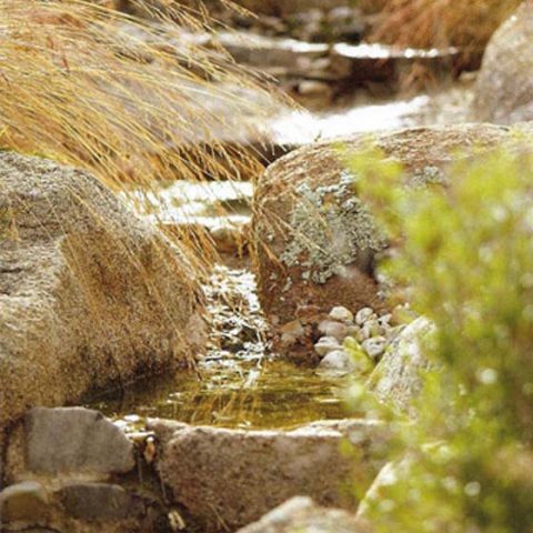 Landscaping project 5